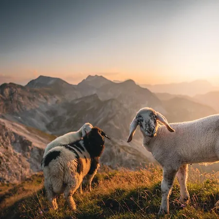 Haus Bergblick アパート オーバータウエルン