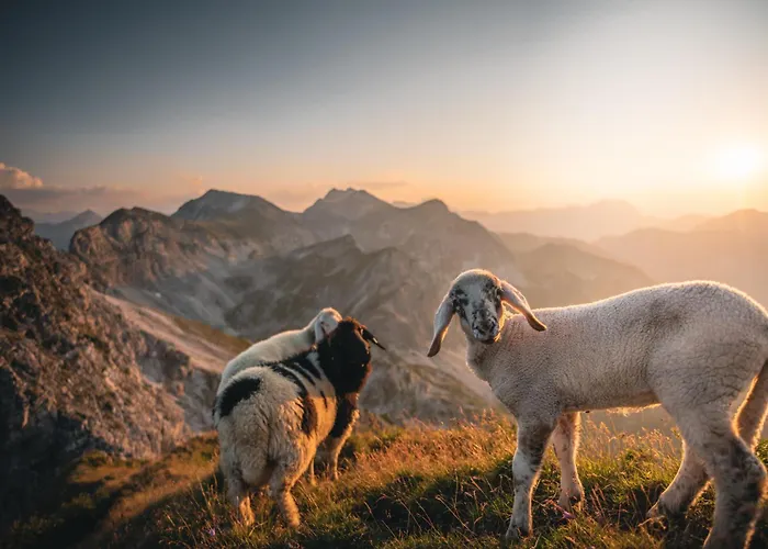 Haus Bergblick アパート オーバータウエルン